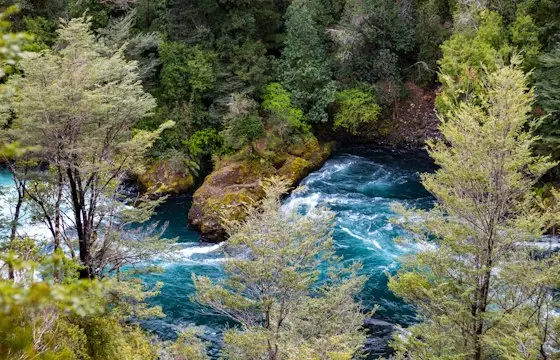 Río de aguas claras corriendo entre bosque nativo del sur de Chile